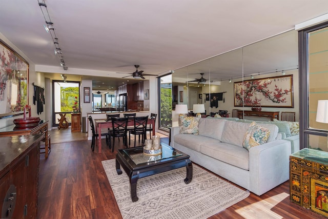 living room featuring track lighting, a ceiling fan, and dark wood finished floors