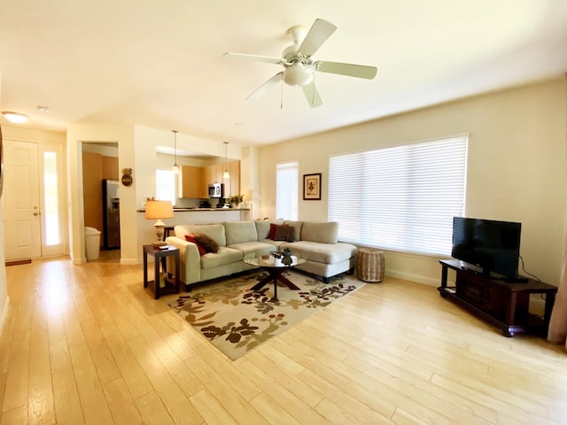 living room with ceiling fan and light wood-type flooring