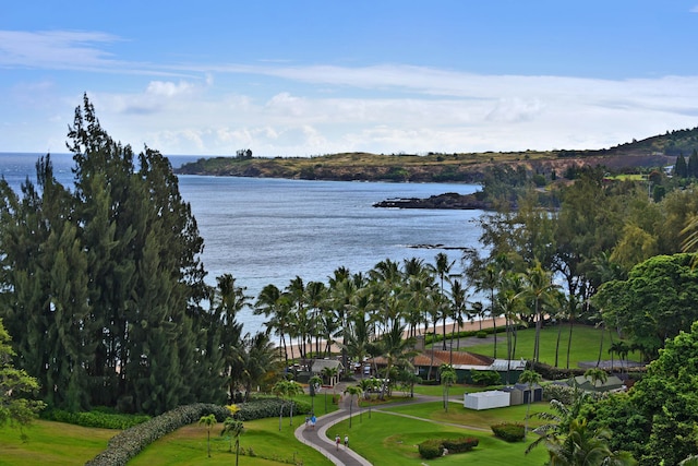 view of water feature