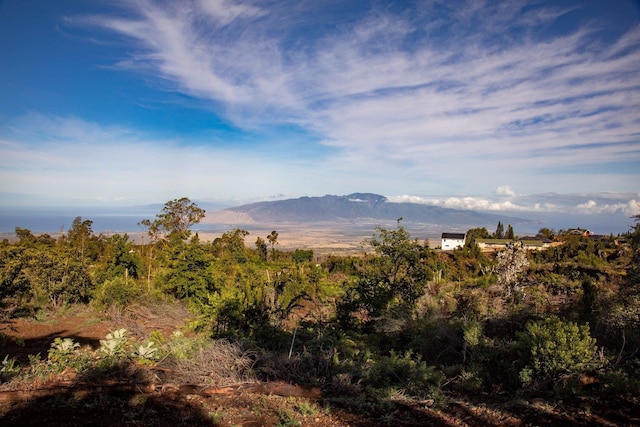 0 Haleakala Hwy Unit A, Kula, HI 96790