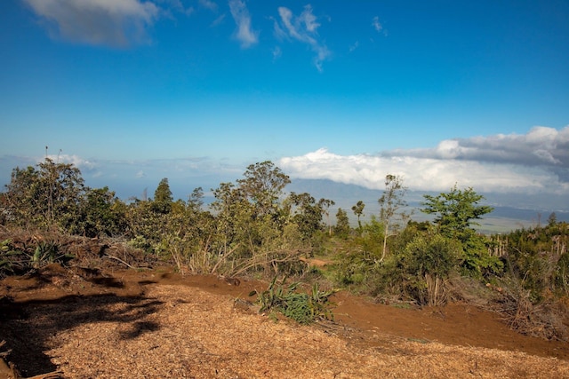0 Haleakala Hwy Unit A, Kula, HI 96790