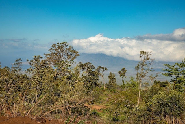0 Haleakala Hwy Unit A, Kula, HI 96790