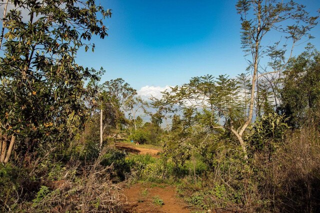 0 Haleakala Hwy Unit A, Kula, HI 96790