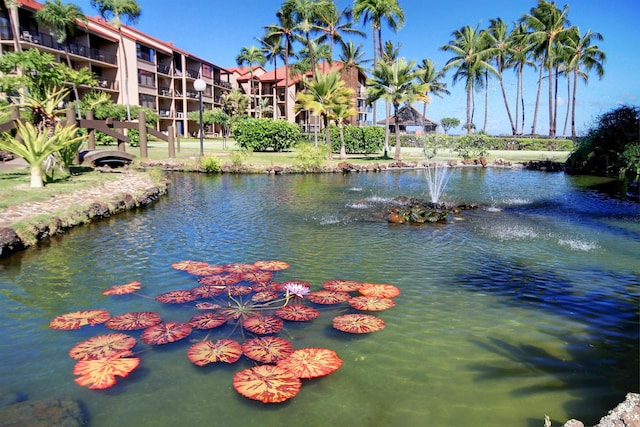 3543 Lower Honoapiilani Rd Unit B401-13B, Lahaina, HI 96761 - water view