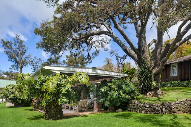 view of yard with a patio