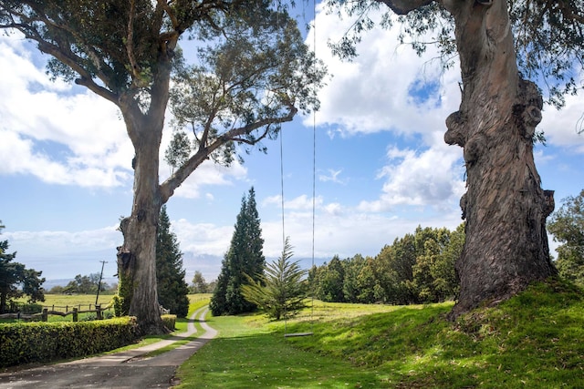 view of community featuring a yard