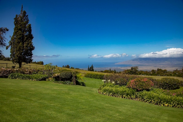 view of community featuring a lawn and a rural view