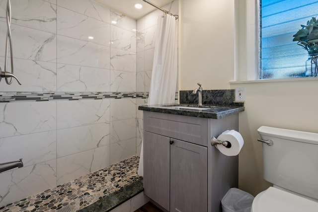 bathroom with vanity, toilet, and a shower with shower curtain