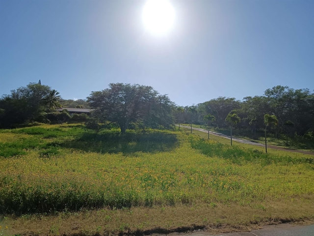 view of yard featuring a rural view