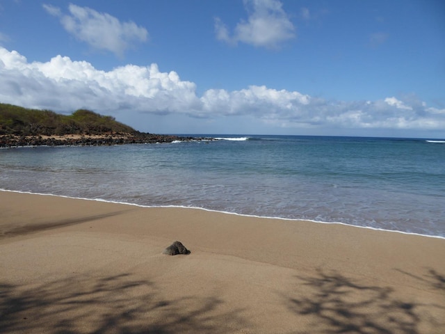 view of water feature featuring a view of the beach