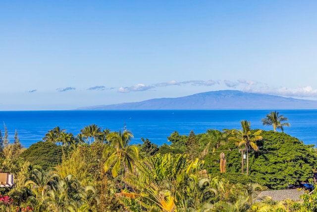 water view with a mountain view