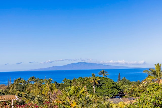 property view of water featuring a mountain view