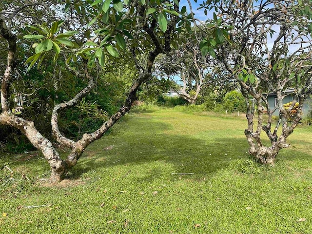 Haiku Rd, Haiku HI, 96708 land for sale