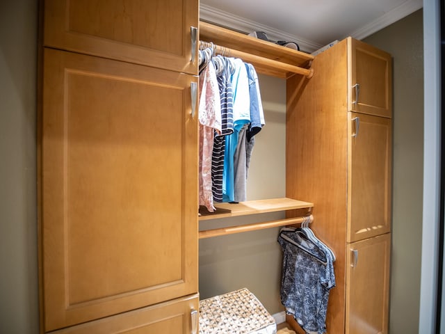 view of walk in closet