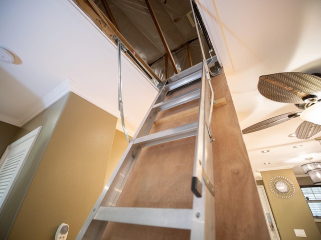 stairway featuring ceiling fan and crown molding