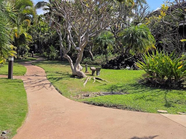 surrounding community featuring a lawn