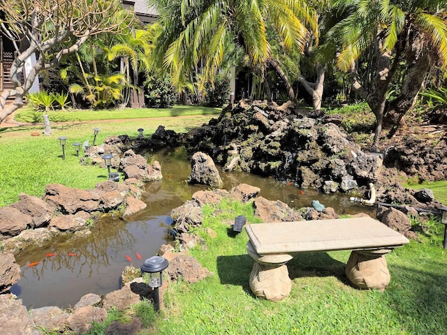 aerial view featuring a garden pond