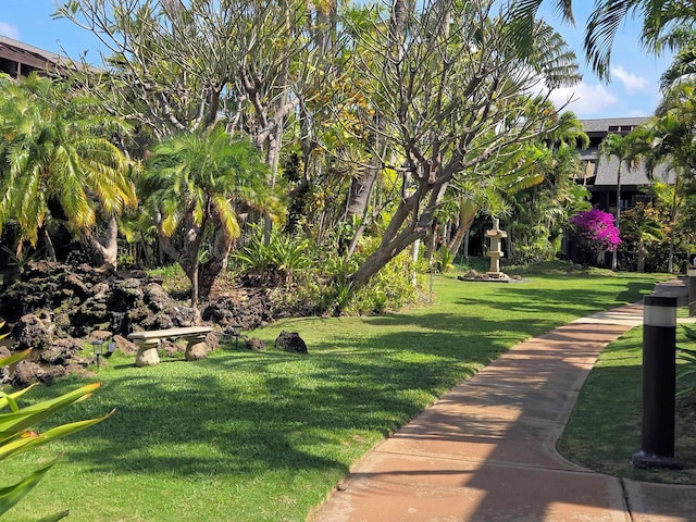 view of home's community featuring a yard