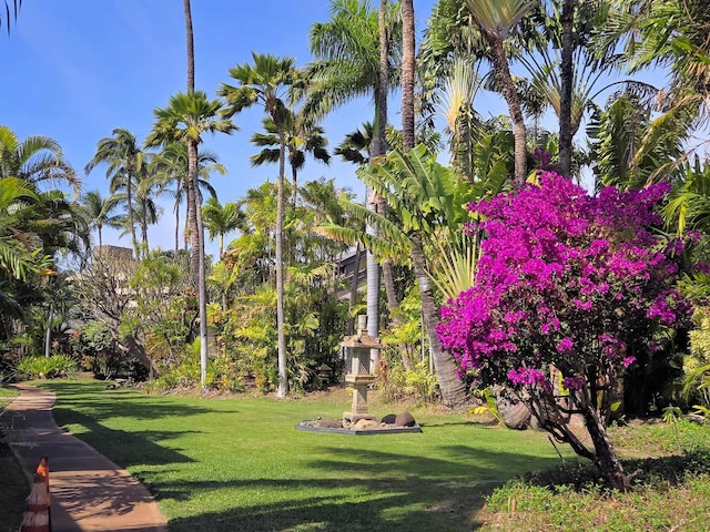 surrounding community featuring a lawn