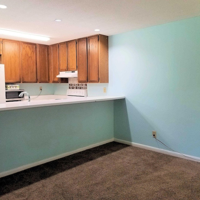 kitchen with carpet floors and range