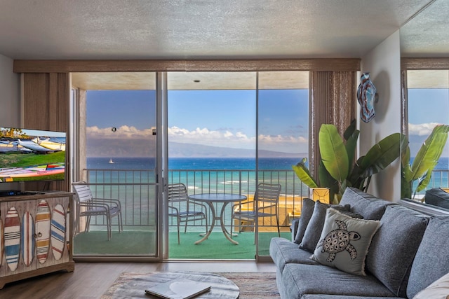 sunroom with a water view