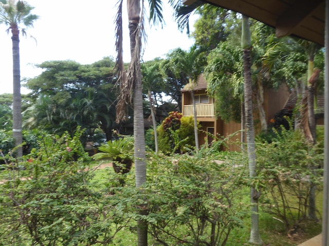 view of yard featuring a balcony