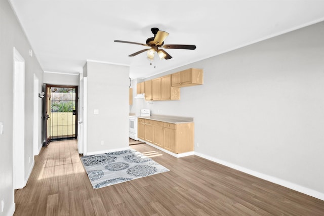 kitchen featuring ceiling fan, light brown cabinets, light wood-type flooring, and white electric stove