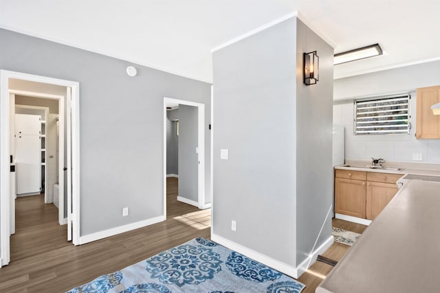 interior space featuring dark hardwood / wood-style flooring and sink