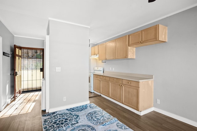 kitchen with light brown cabinets, dark hardwood / wood-style flooring, white range with electric stovetop, and ornamental molding