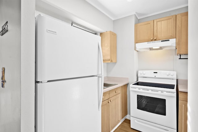 kitchen with light wood-type flooring, light brown cabinetry, and white appliances