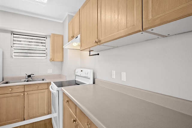 kitchen with white electric range, light brown cabinets, and sink