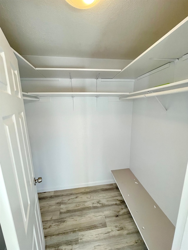 walk in closet featuring light hardwood / wood-style floors