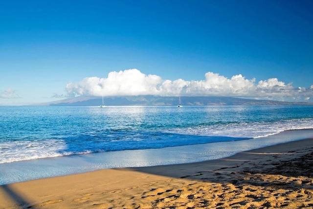 property view of water featuring a beach view