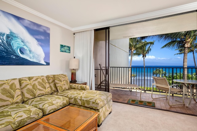 carpeted living room featuring ornamental molding and a water view