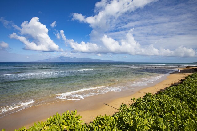 property view of water featuring a view of the beach