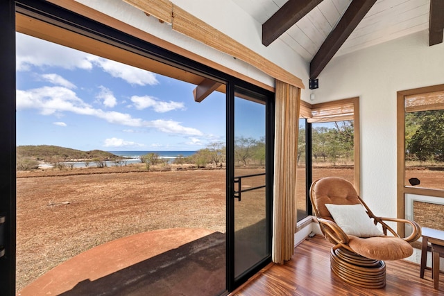 interior space featuring vaulted ceiling with beams, dark hardwood / wood-style flooring, and a wealth of natural light