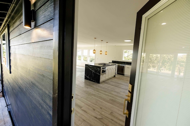 interior space featuring light wood-style floors