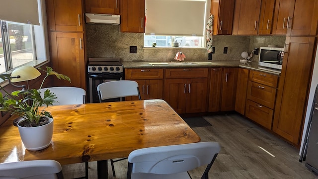 kitchen featuring plenty of natural light, dark hardwood / wood-style floors, sink, and stainless steel appliances