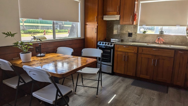 kitchen featuring stainless steel electric range, dark hardwood / wood-style flooring, decorative backsplash, and sink