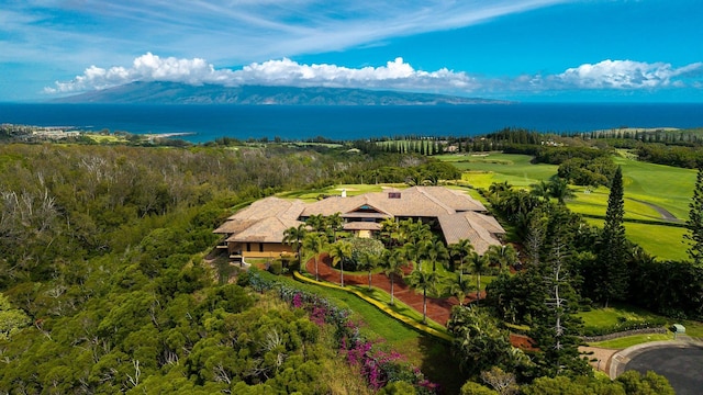 710 Mokuleia Pl, Lahaina, HI 96761 - aerial view of property and surrounding area featuring a large body of water and a forest