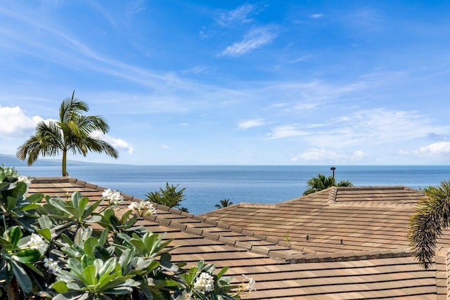 view of water feature