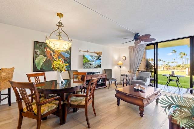 dining space featuring expansive windows, ceiling fan, light hardwood / wood-style floors, and a textured ceiling