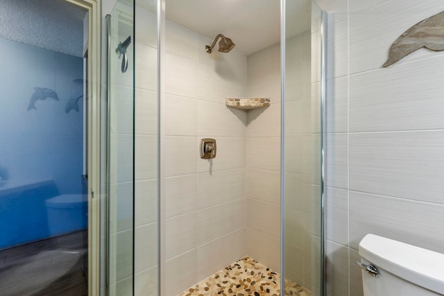 bathroom with walk in shower and toilet