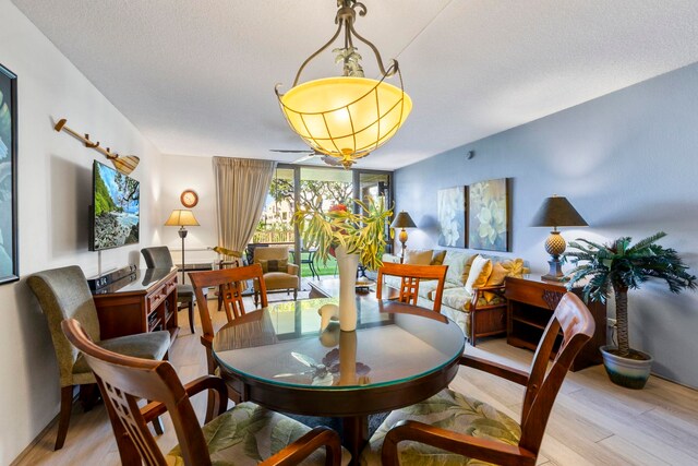dining room with a textured ceiling, a wall of windows, and light hardwood / wood-style flooring