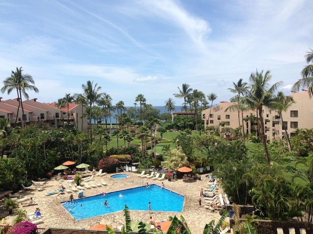 view of swimming pool with a patio