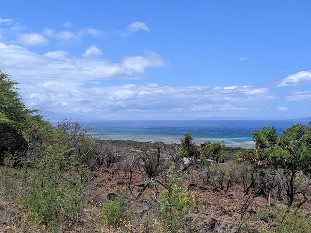 Listing photo 2 for 0 Kupaia Pl Lot # 34, Kaunakakai HI 96748