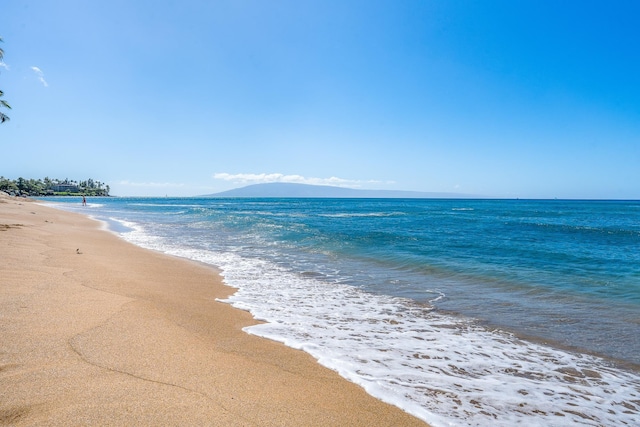 property view of water with a view of the beach