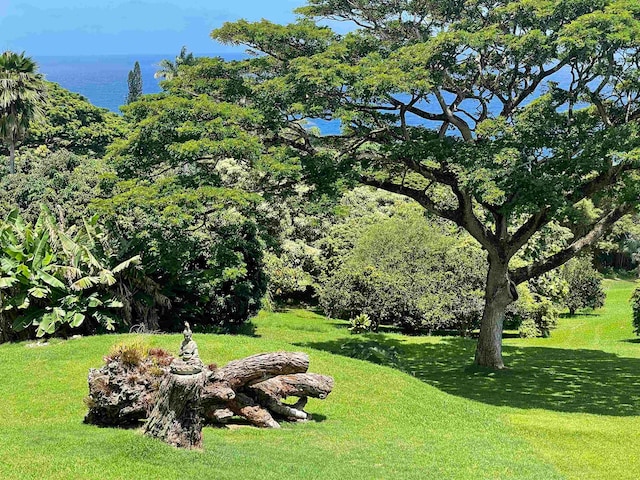 view of yard with a water view