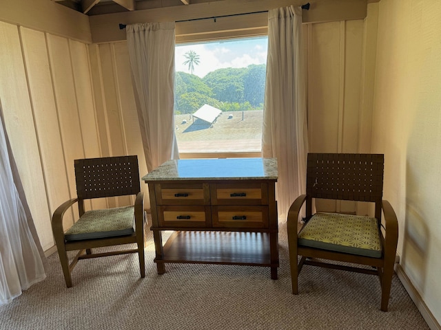 sitting room featuring carpet flooring