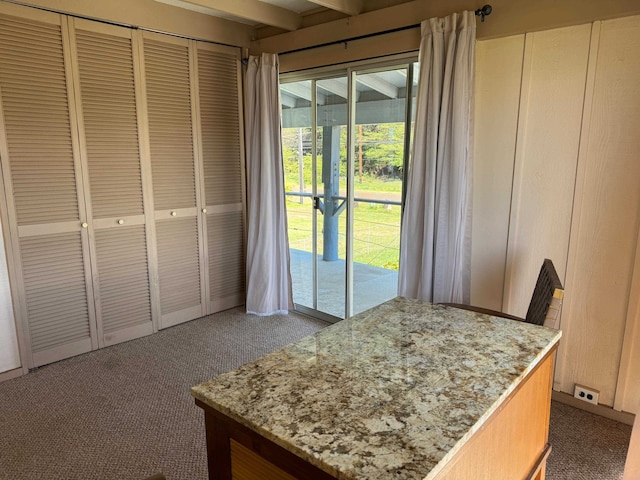 interior space with a closet, dark carpet, and access to outside